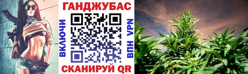 нарко площадка Telegram  сколько стоит  Нолинск  Шишки марихуана сатива 